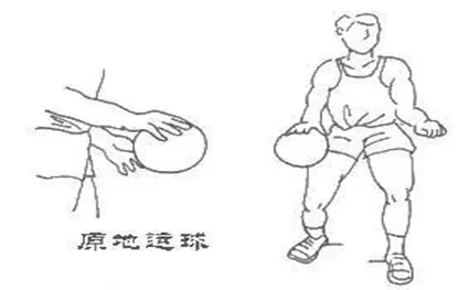 为什么稳定性对篮球发展如此重要_1